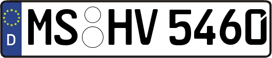 MS-HV5460