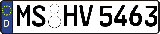 MS-HV5463