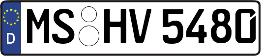 MS-HV5480