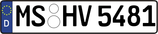 MS-HV5481