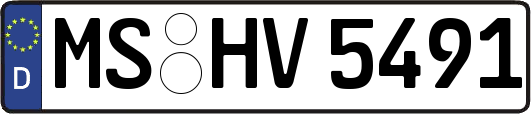MS-HV5491