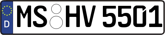 MS-HV5501