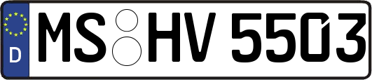 MS-HV5503