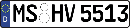 MS-HV5513