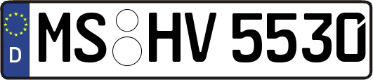 MS-HV5530
