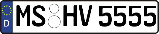 MS-HV5555