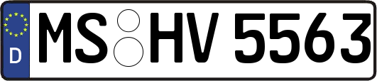 MS-HV5563