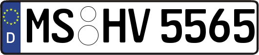 MS-HV5565