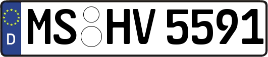 MS-HV5591