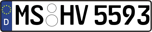 MS-HV5593