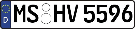 MS-HV5596