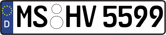 MS-HV5599