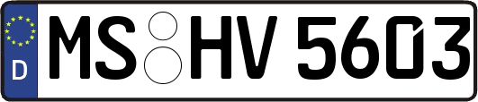 MS-HV5603