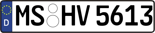 MS-HV5613