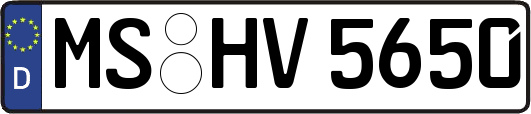 MS-HV5650