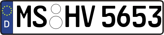 MS-HV5653