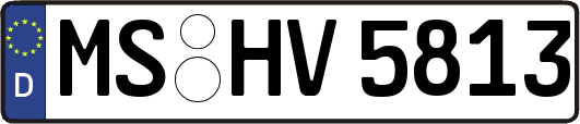 MS-HV5813