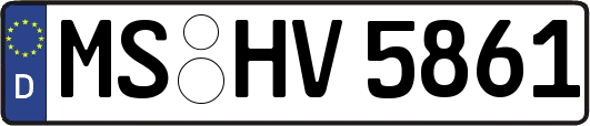 MS-HV5861