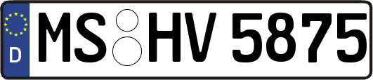 MS-HV5875