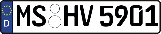 MS-HV5901