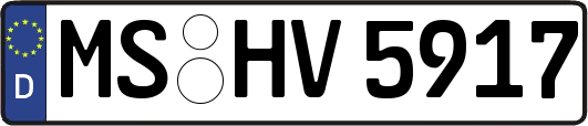 MS-HV5917