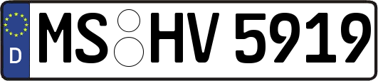 MS-HV5919