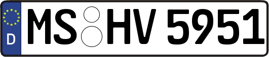 MS-HV5951
