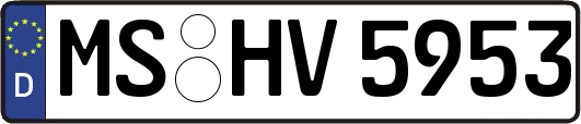 MS-HV5953