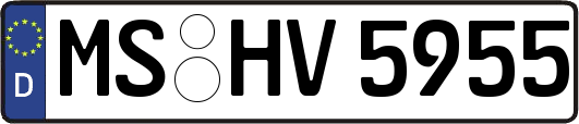 MS-HV5955