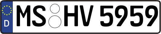 MS-HV5959
