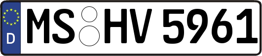 MS-HV5961