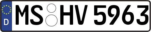 MS-HV5963