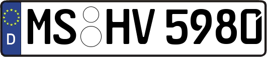 MS-HV5980