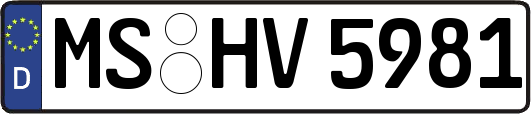 MS-HV5981