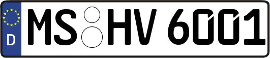 MS-HV6001