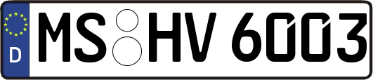 MS-HV6003