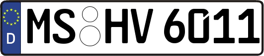 MS-HV6011