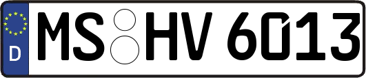 MS-HV6013