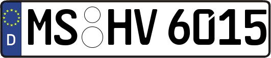 MS-HV6015