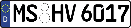 MS-HV6017