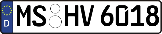 MS-HV6018
