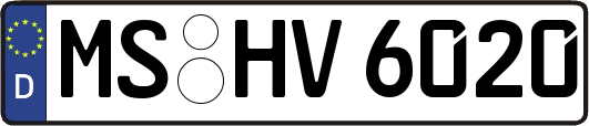 MS-HV6020
