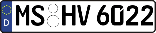 MS-HV6022