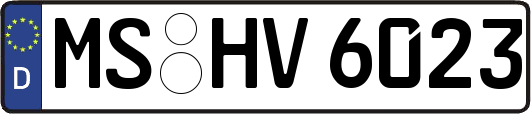 MS-HV6023