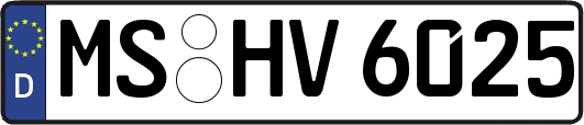 MS-HV6025