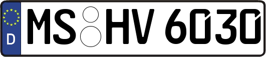 MS-HV6030