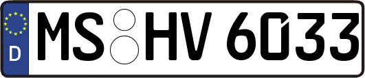 MS-HV6033