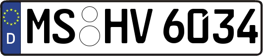 MS-HV6034