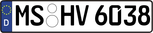 MS-HV6038