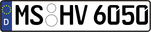 MS-HV6050